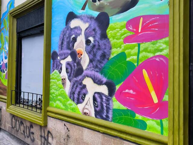 #LV132 - Local Comercial para Venta en Pasto - NAR